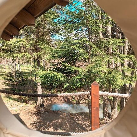 Medve Dome - Luxury Camping In The Middle Of Nature Hotel Szentegyháza Kültér fotó