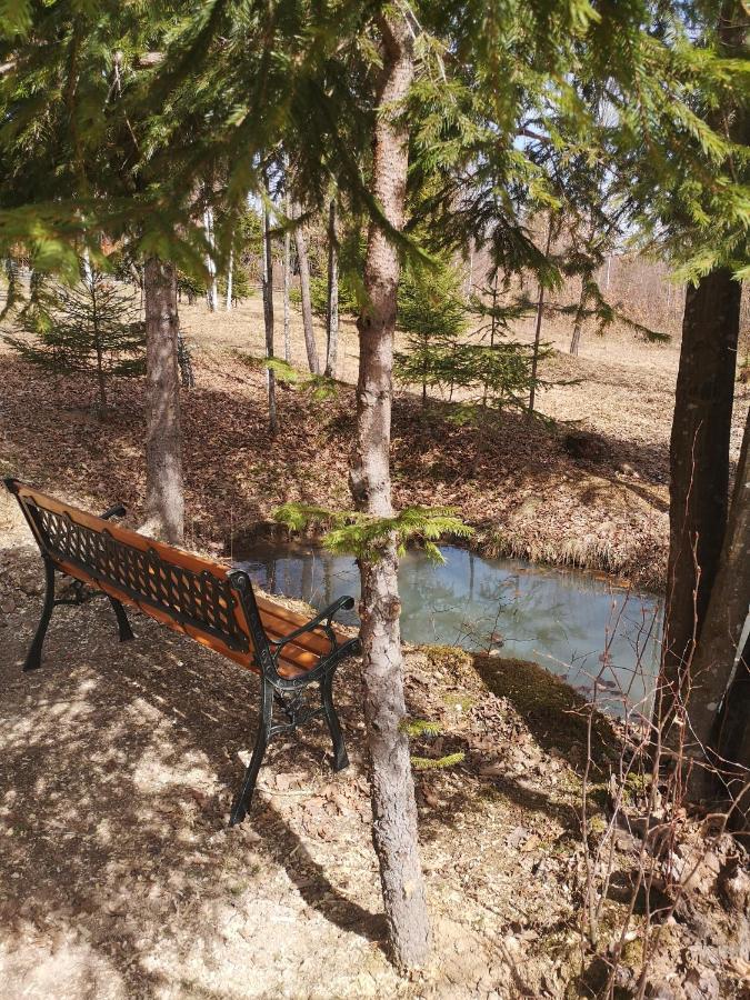 Medve Dome - Luxury Camping In The Middle Of Nature Hotel Szentegyháza Kültér fotó
