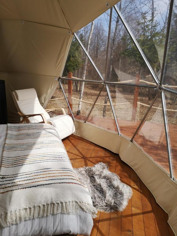 Medve Dome - Luxury Camping In The Middle Of Nature Hotel Szentegyháza Kültér fotó