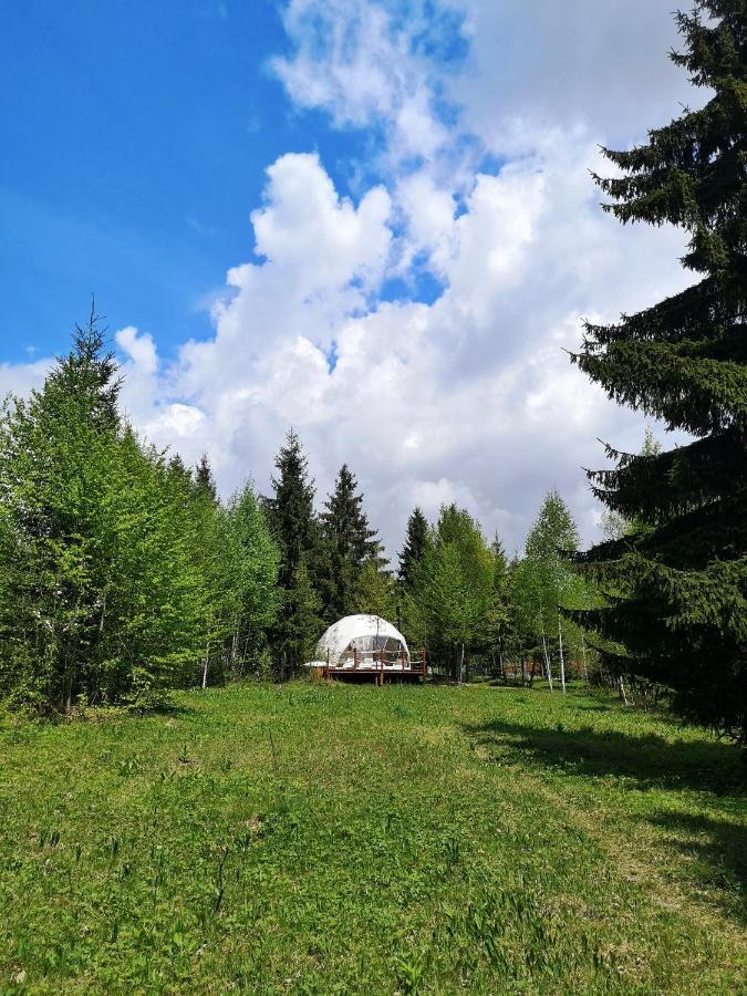 Medve Dome - Luxury Camping In The Middle Of Nature Hotel Szentegyháza Kültér fotó