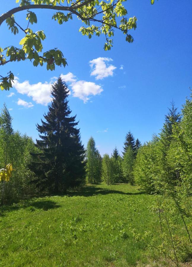 Medve Dome - Luxury Camping In The Middle Of Nature Hotel Szentegyháza Kültér fotó