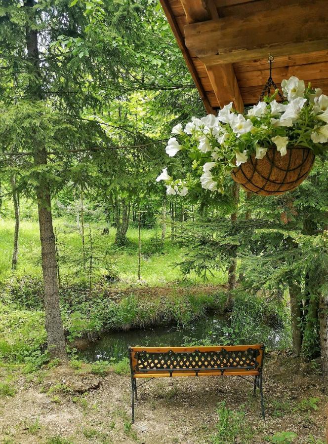 Medve Dome - Luxury Camping In The Middle Of Nature Hotel Szentegyháza Kültér fotó
