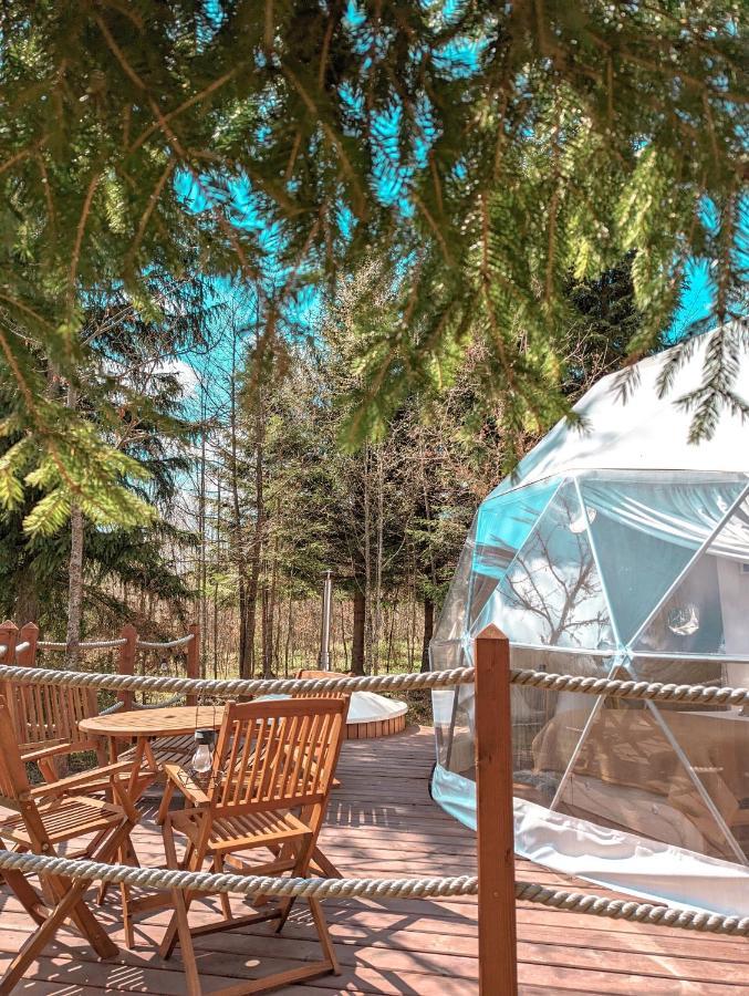 Medve Dome - Luxury Camping In The Middle Of Nature Hotel Szentegyháza Kültér fotó